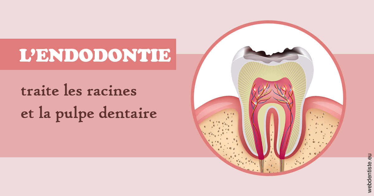 https://dr-jean-luc-vouillot.chirurgiens-dentistes.fr/L'endodontie 2