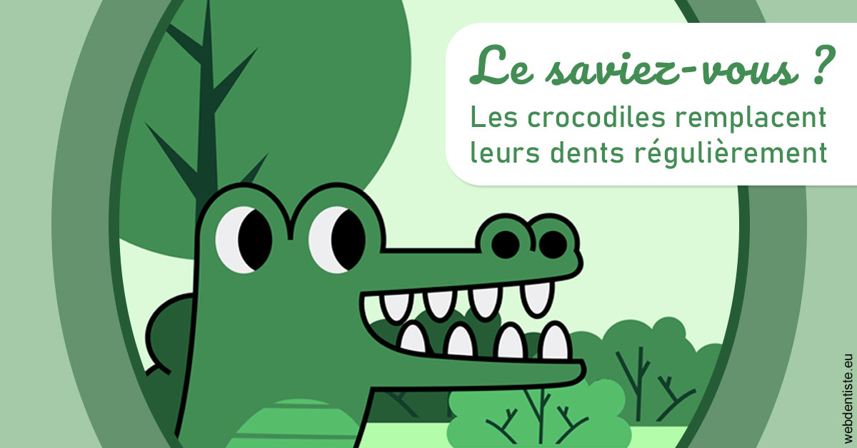 https://dr-jean-luc-vouillot.chirurgiens-dentistes.fr/Crocodiles 2