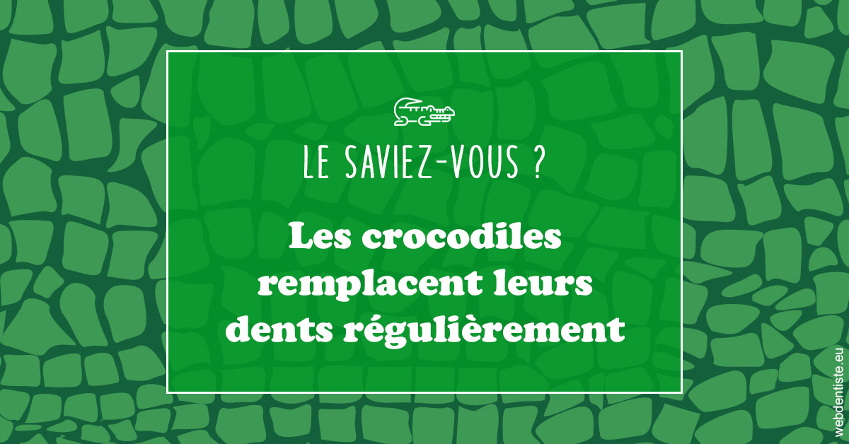 https://dr-jean-luc-vouillot.chirurgiens-dentistes.fr/Crocodiles 1